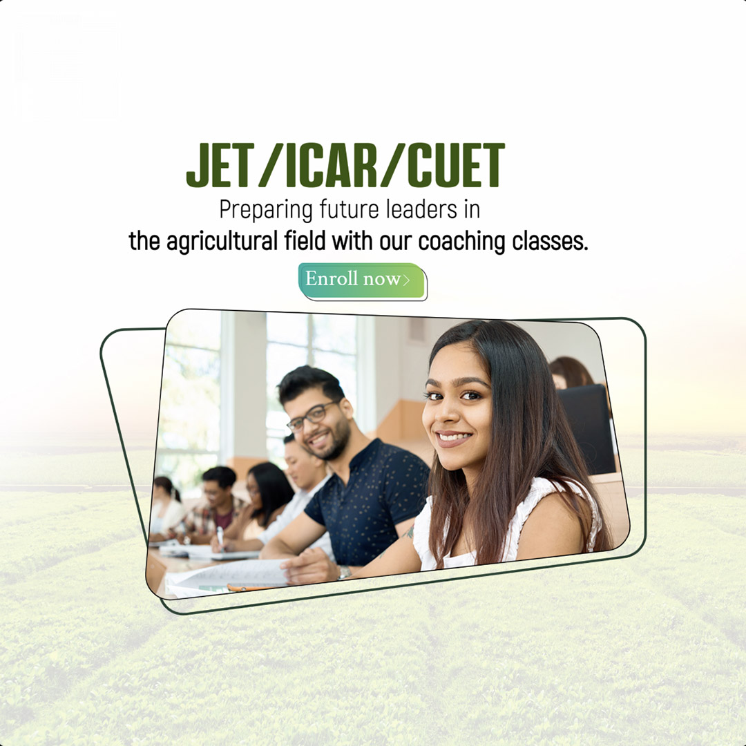 Education & Coaching