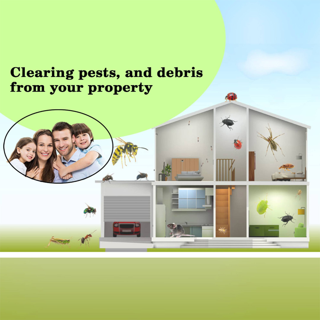 Pest Control