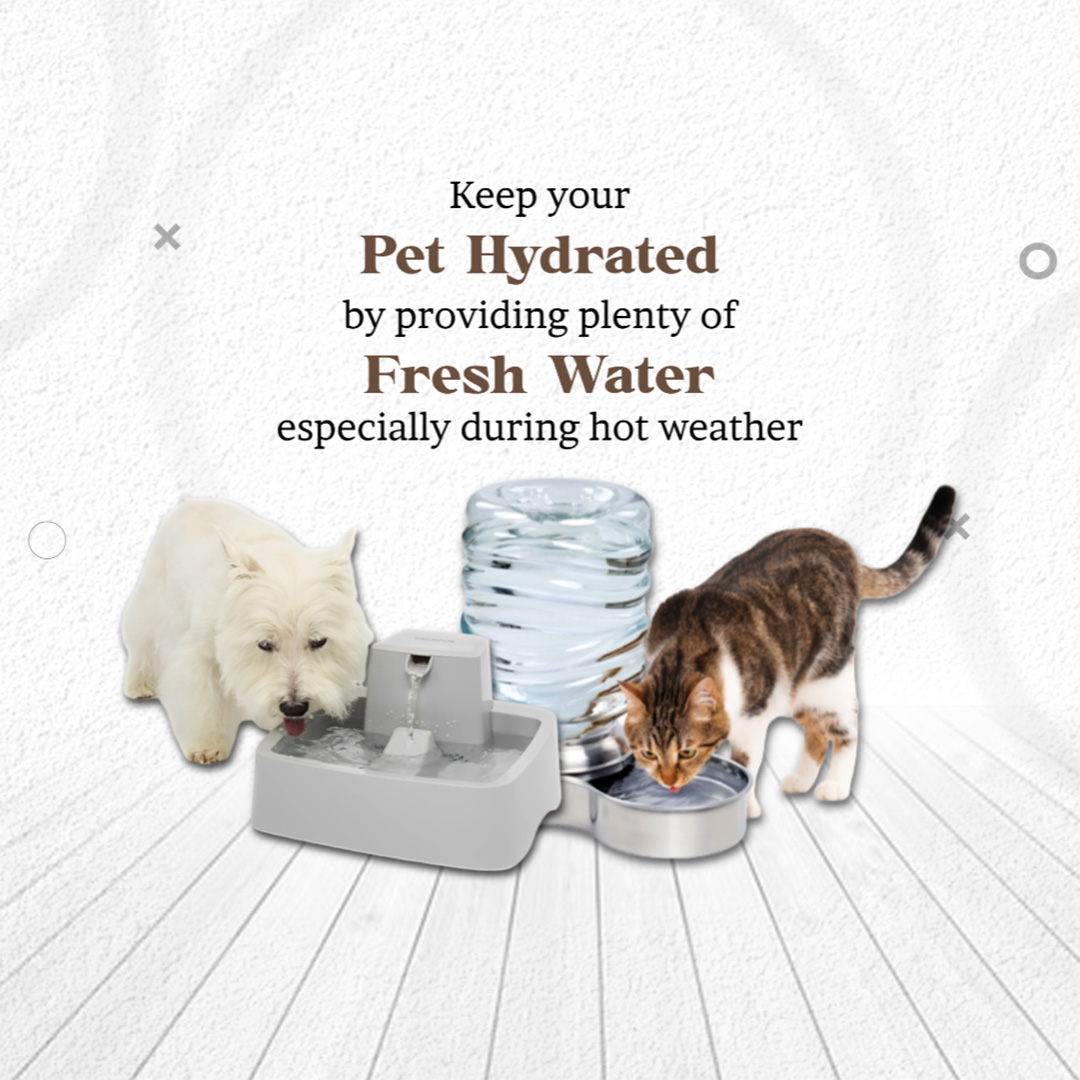 Pet Shop
