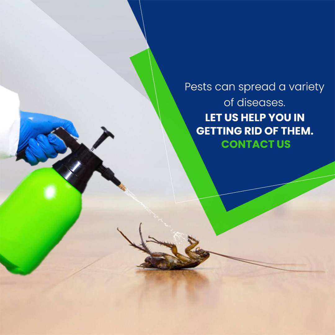 Pest Control
