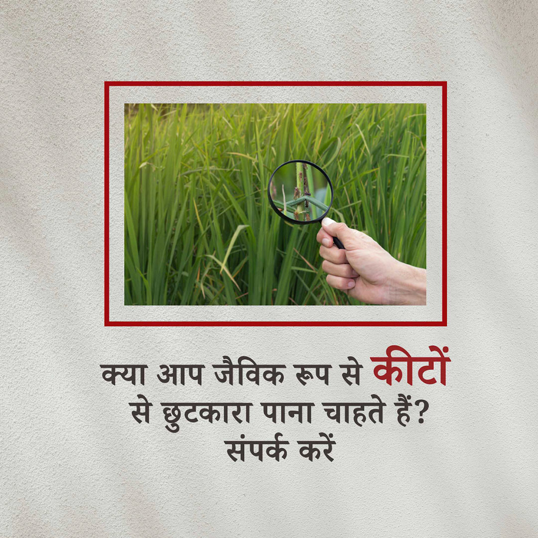 Agriculture