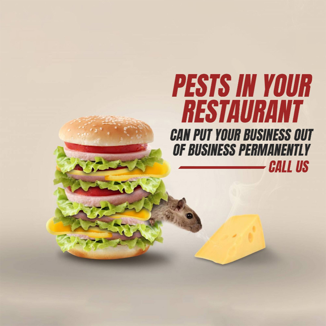 Pest Control