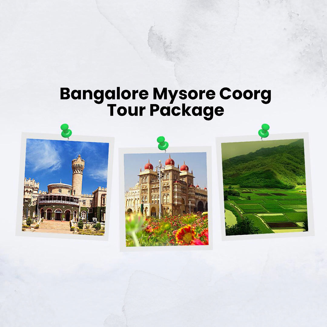 Tours and Travels