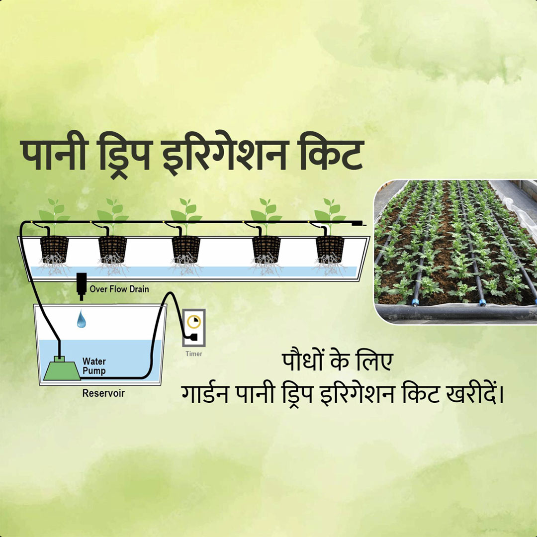 Agriculture