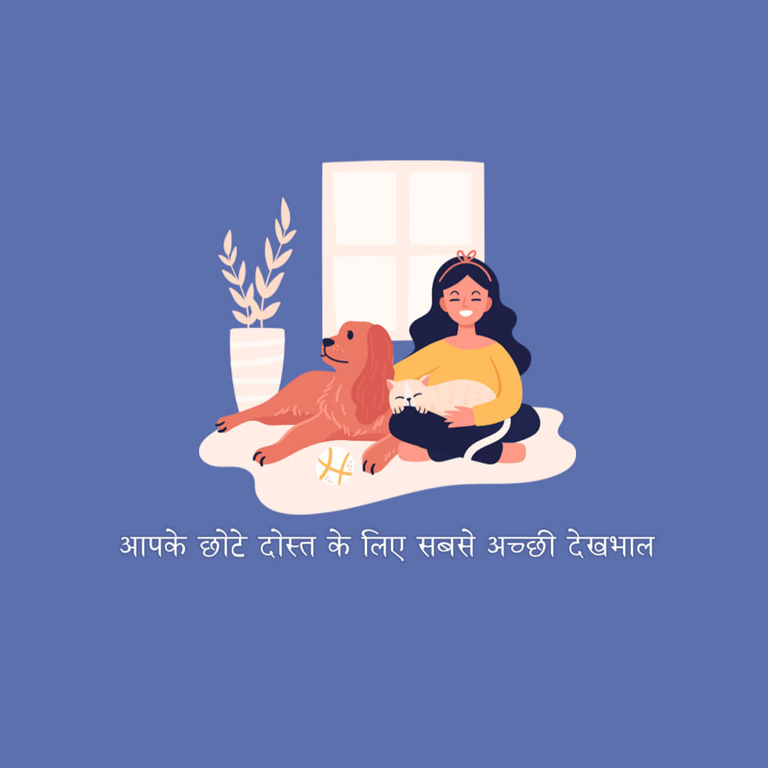 Animal Care