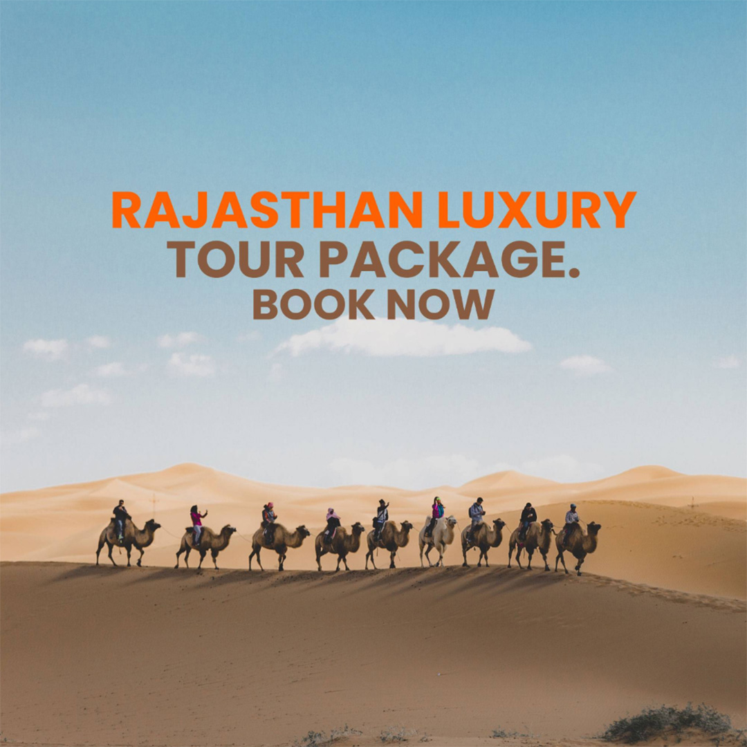 Tours and Travels