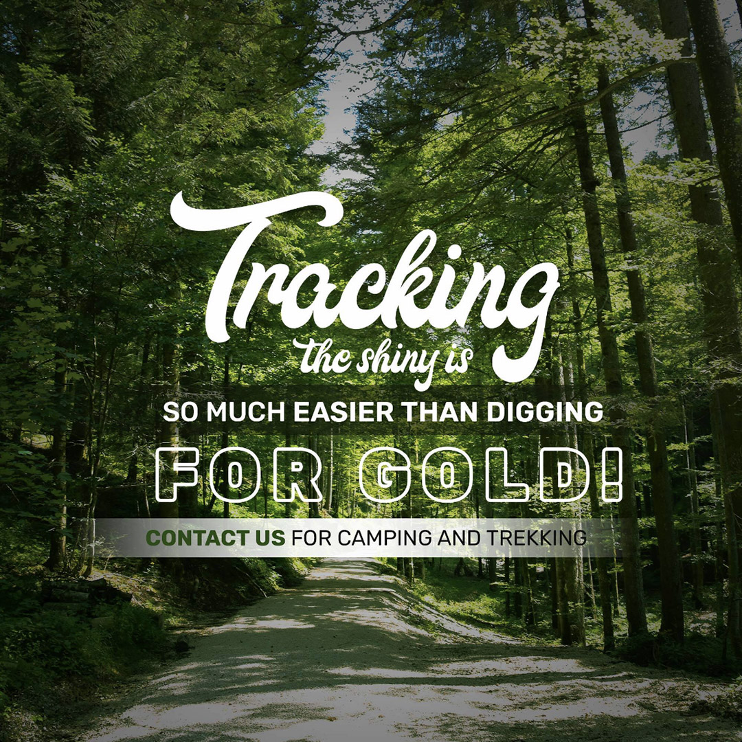 Camping & Tracking