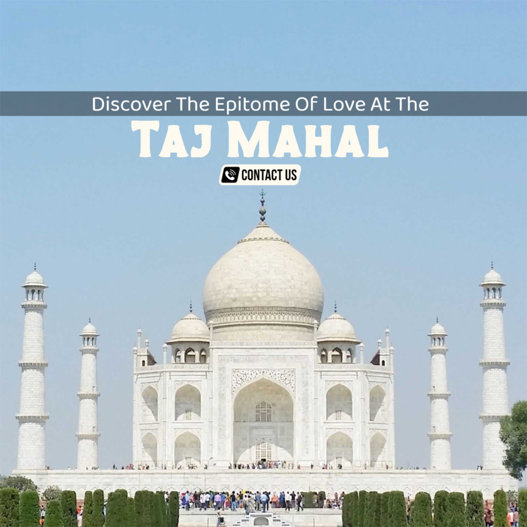 Tours and Travels
