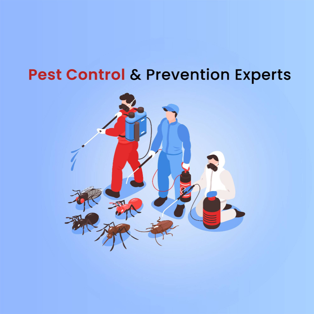 Pest Control