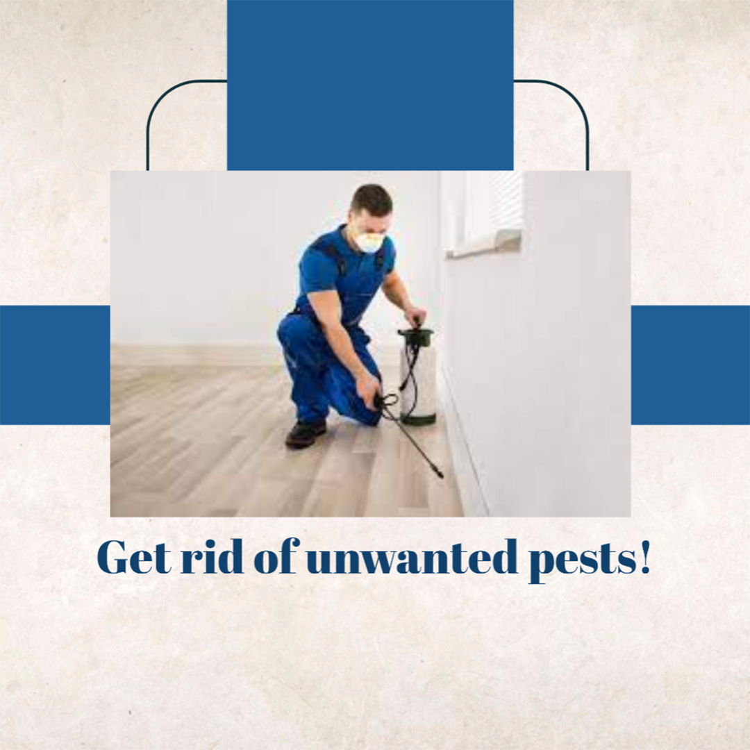 Pest Control