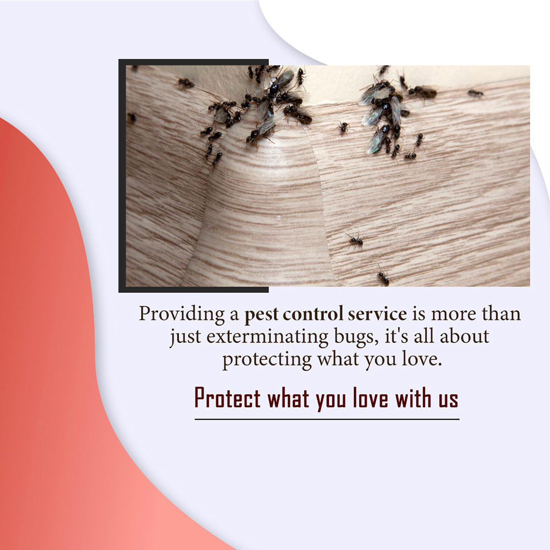 Pest Control