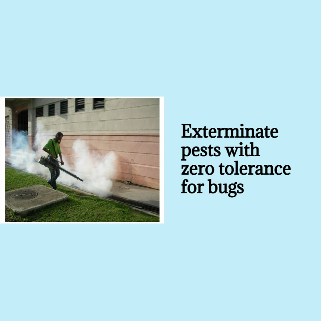 Pest Control