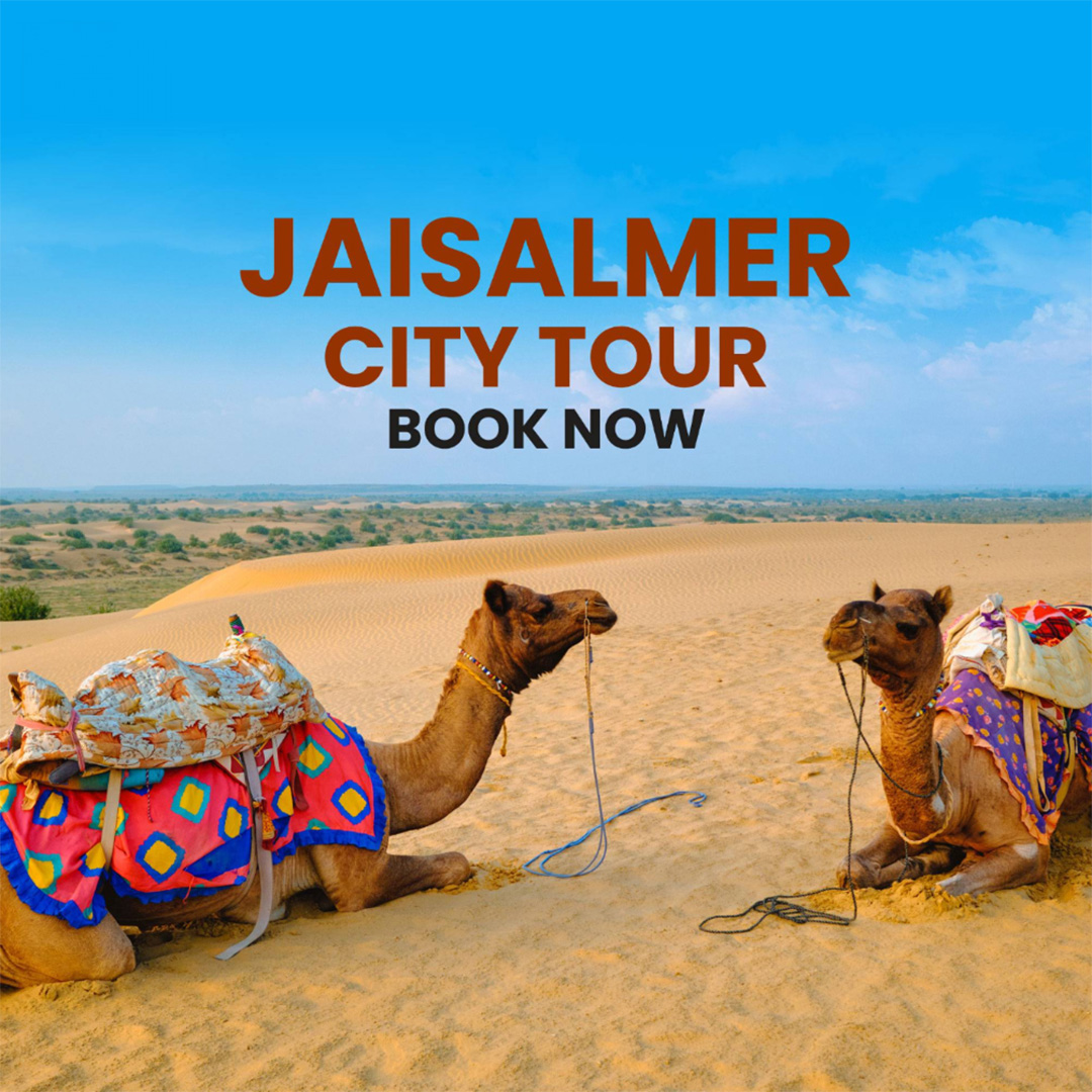 Tours and Travels
