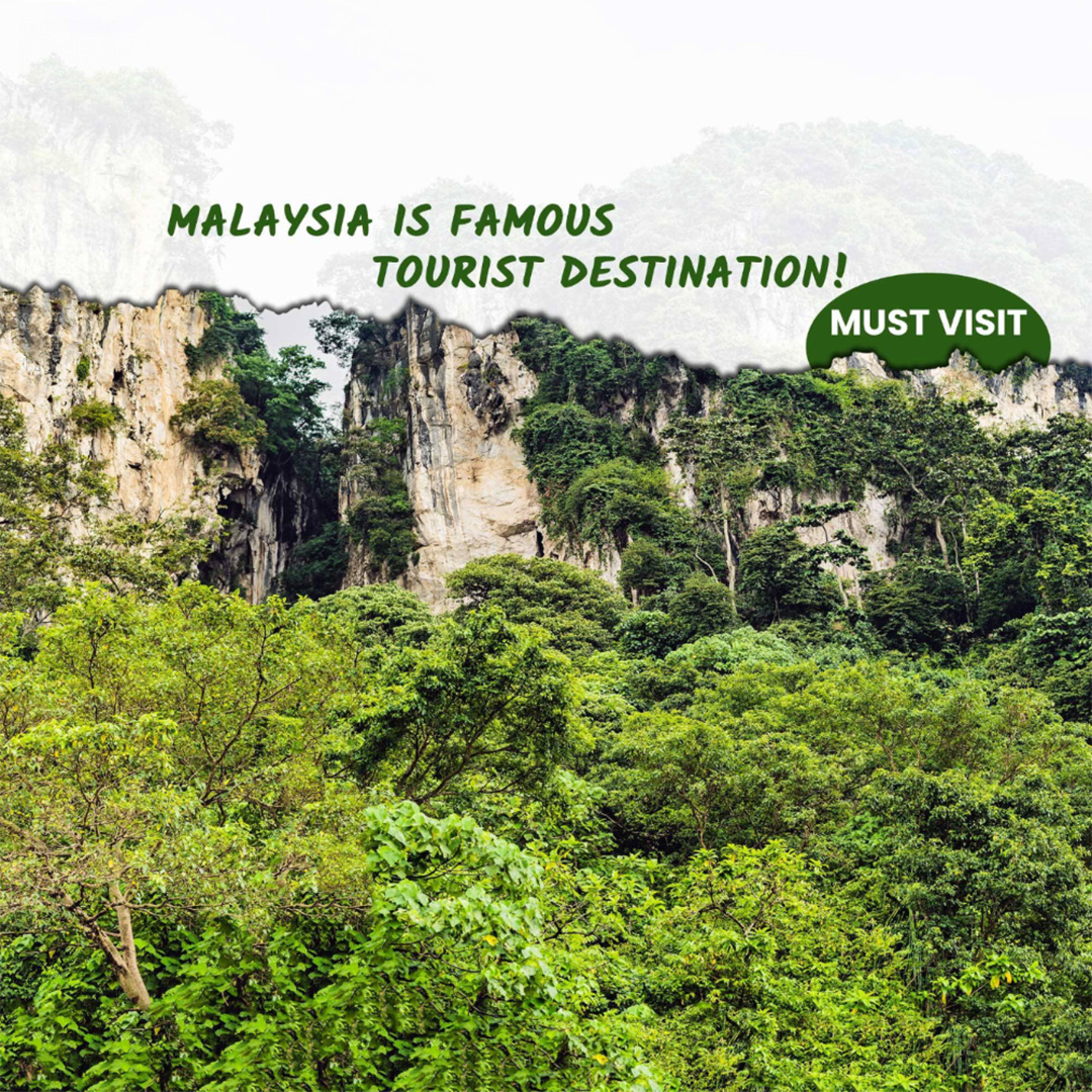 Tours and Travels