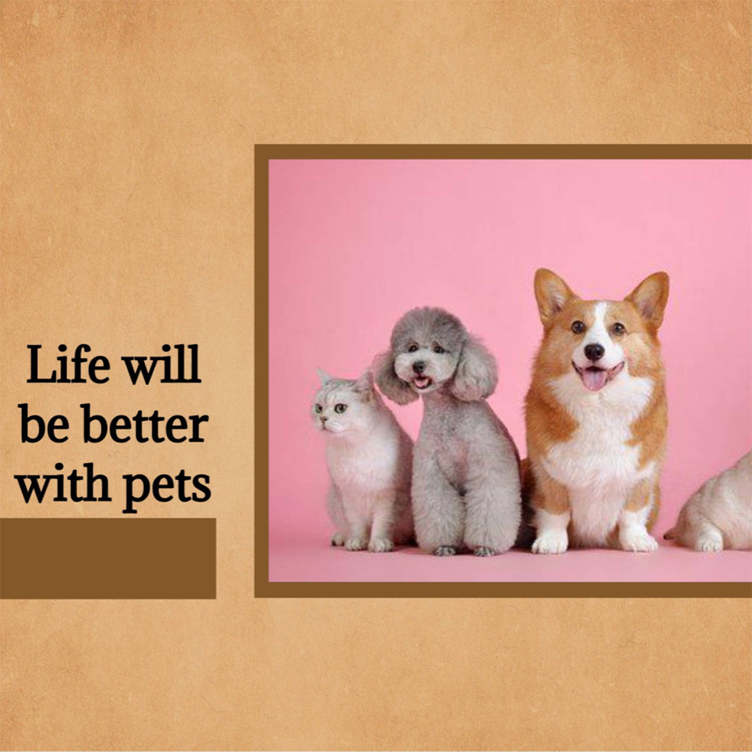 Pet Shop