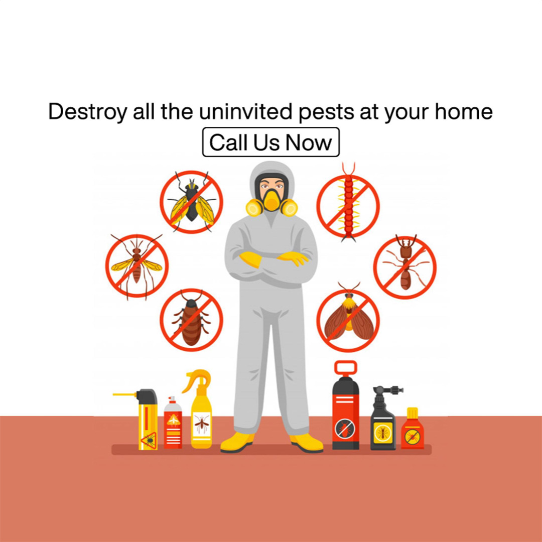 Pest Control