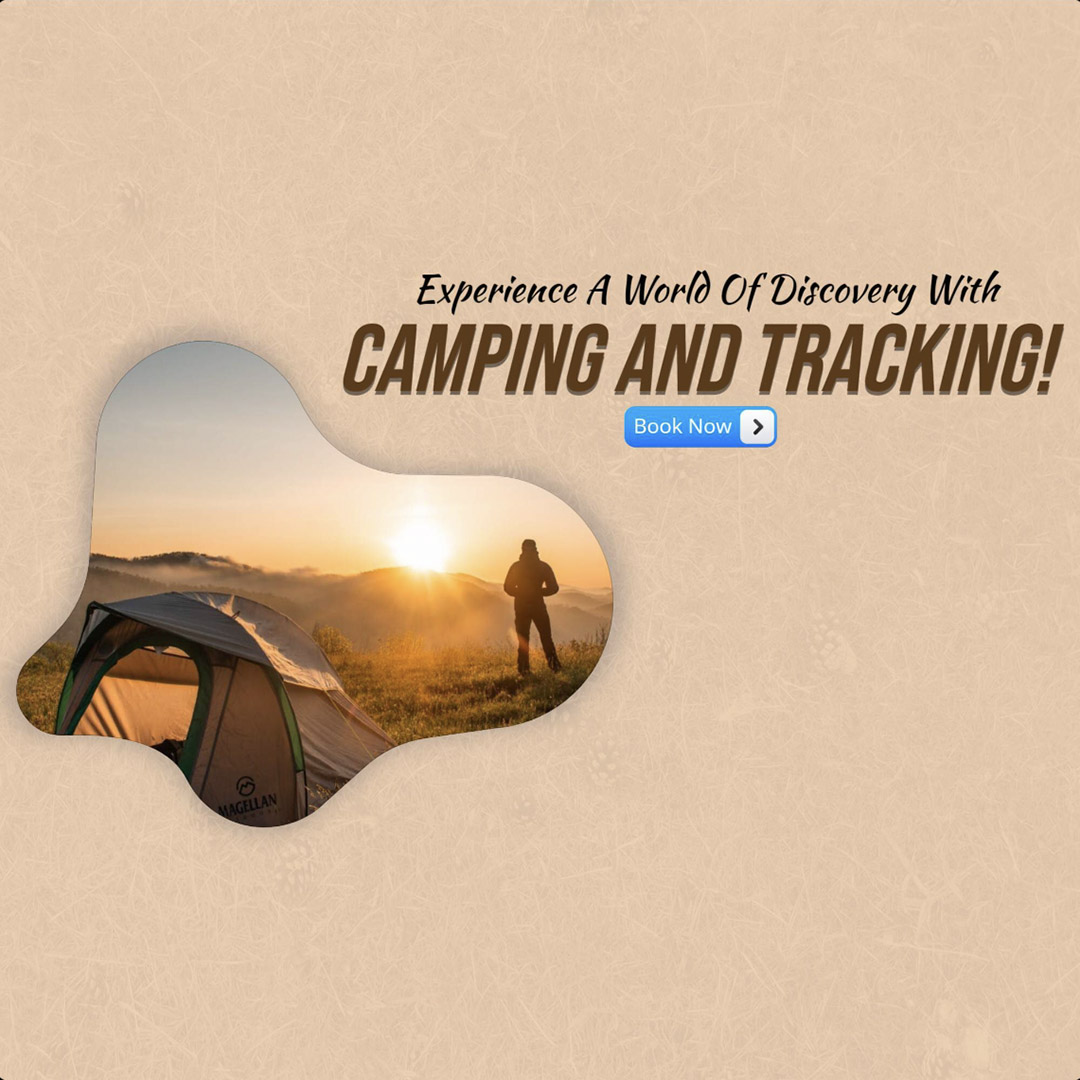 Camping & Tracking
