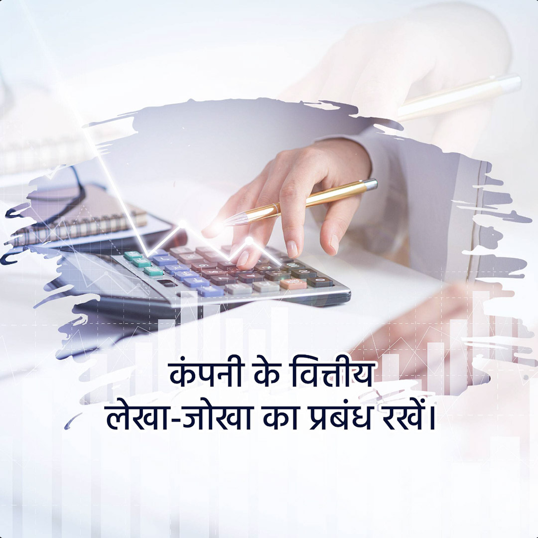 Chartered Accountant