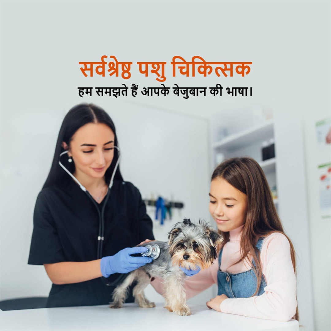 Pet Shop