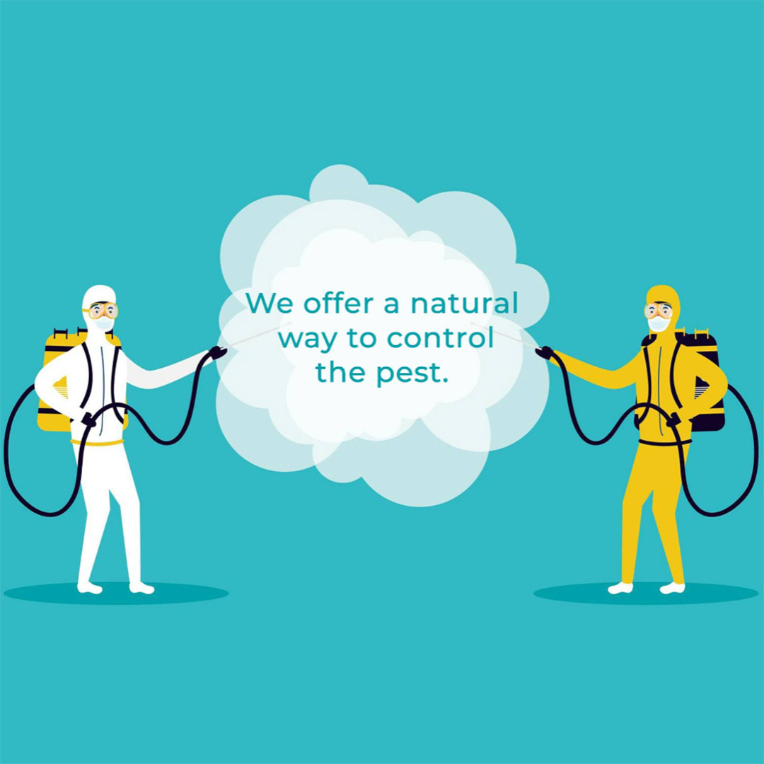 Pest Control