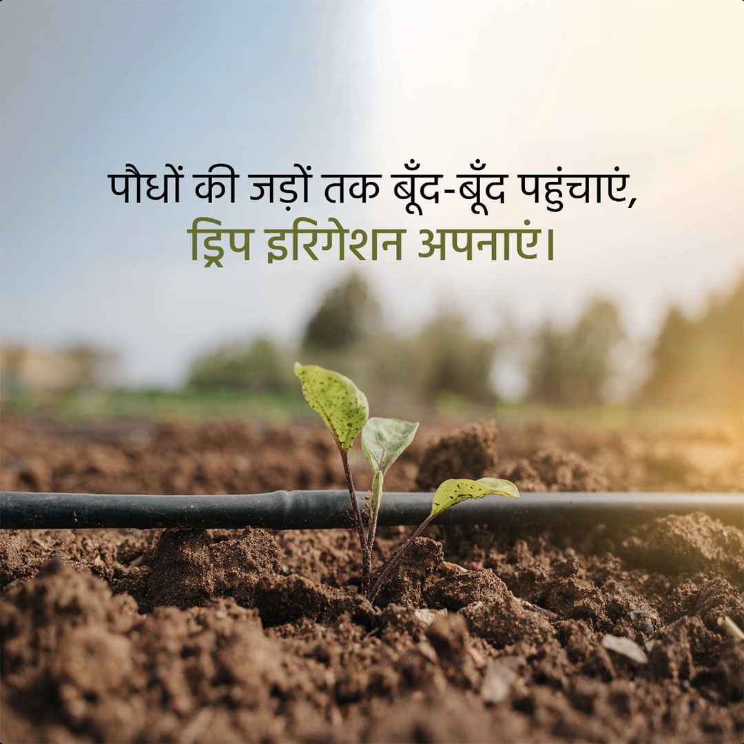 Agriculture