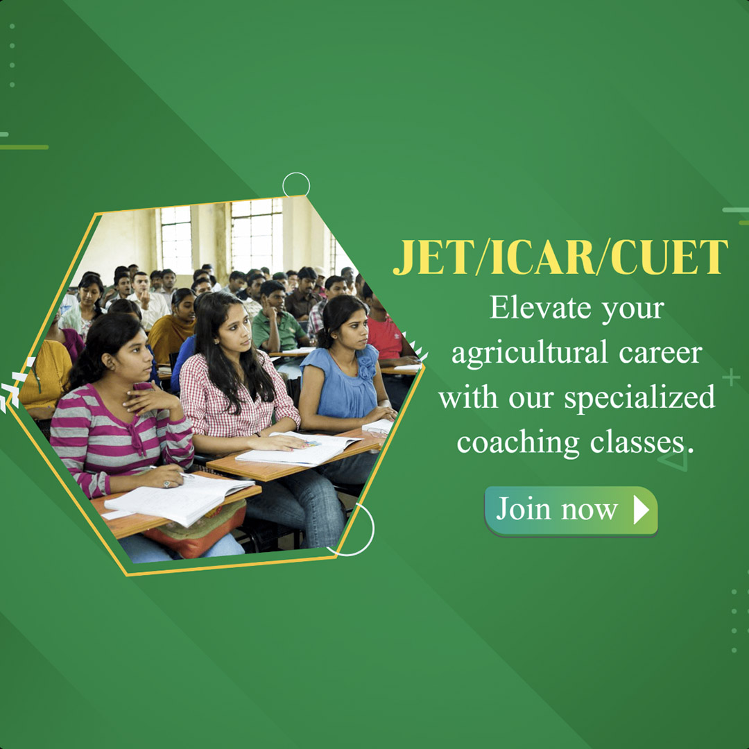 Education & Coaching