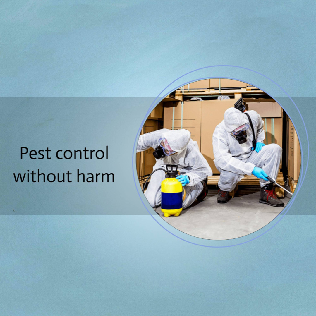Pest Control