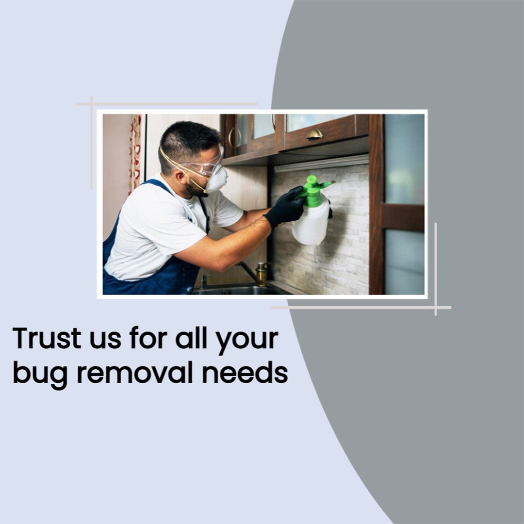 Pest Control