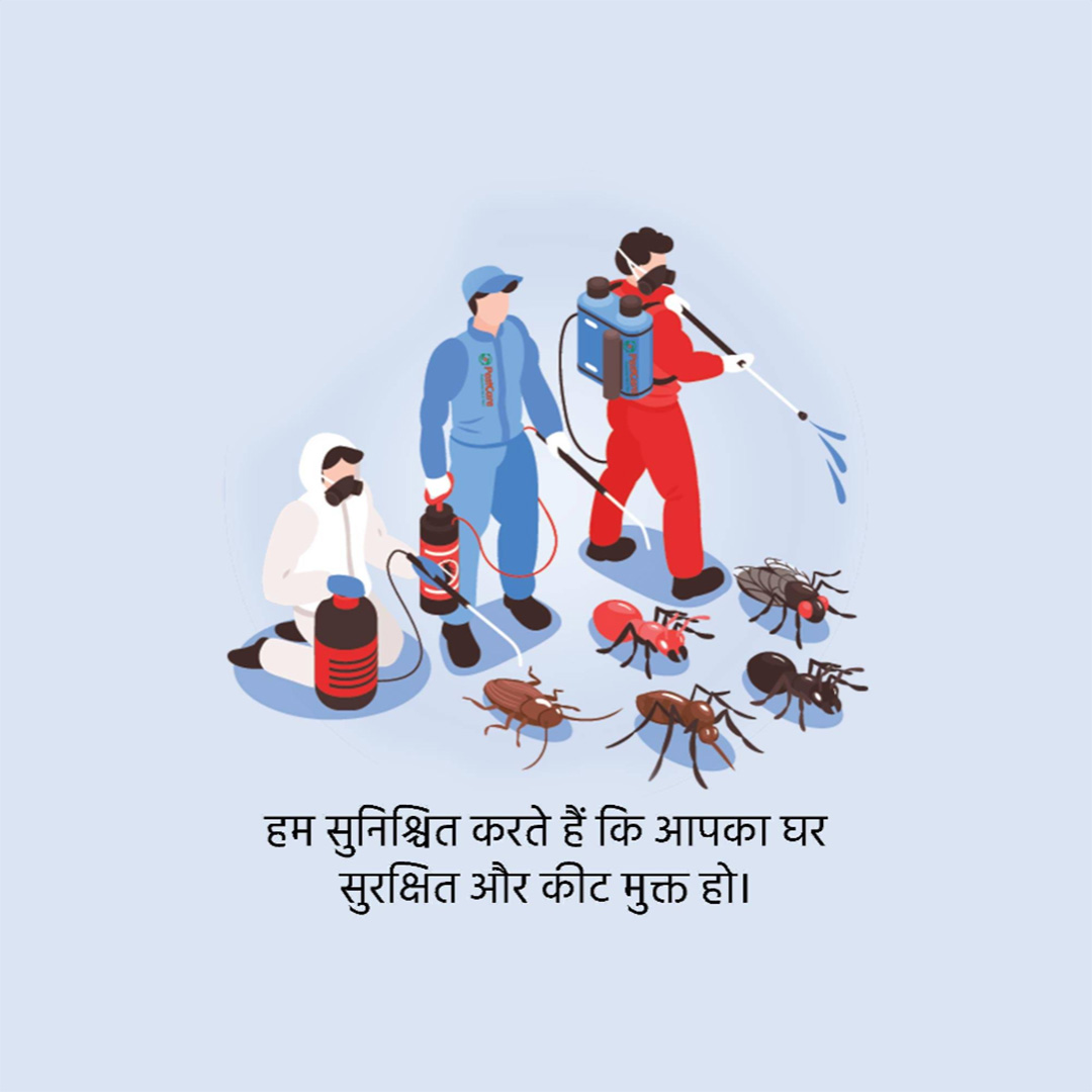 Pest Control