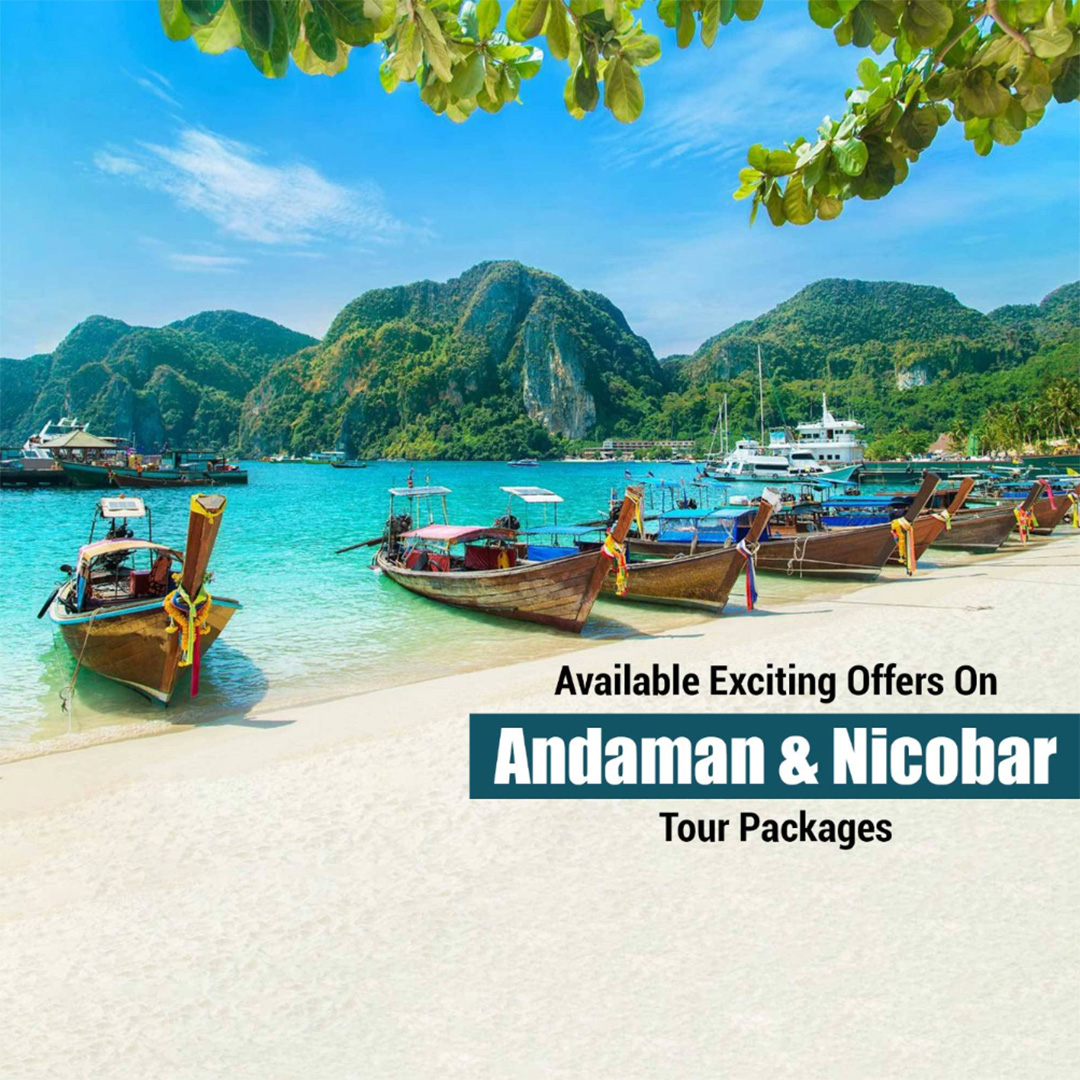 Tours and Travels