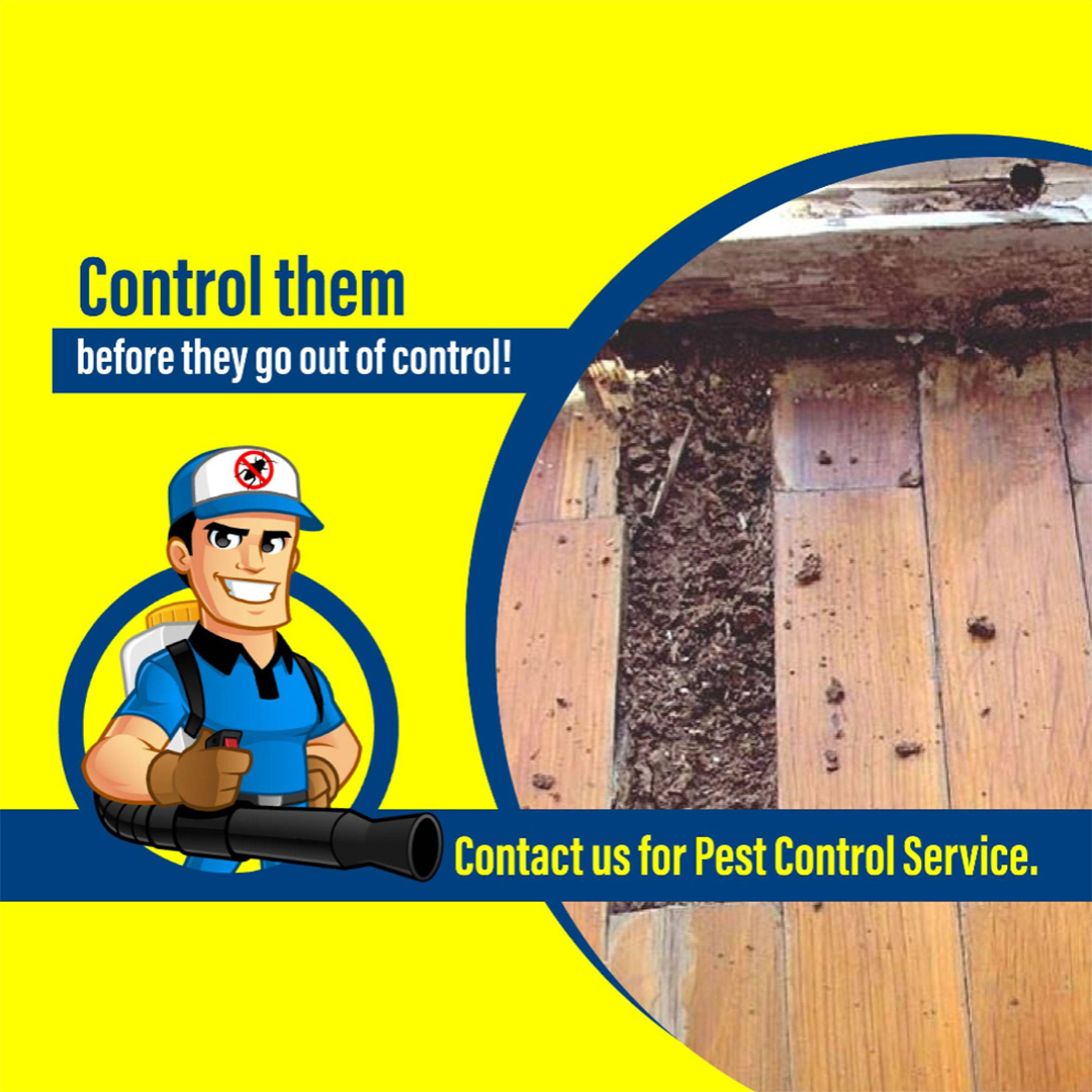 Pest Control