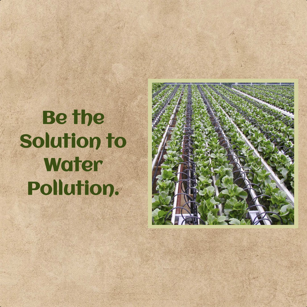 Agriculture