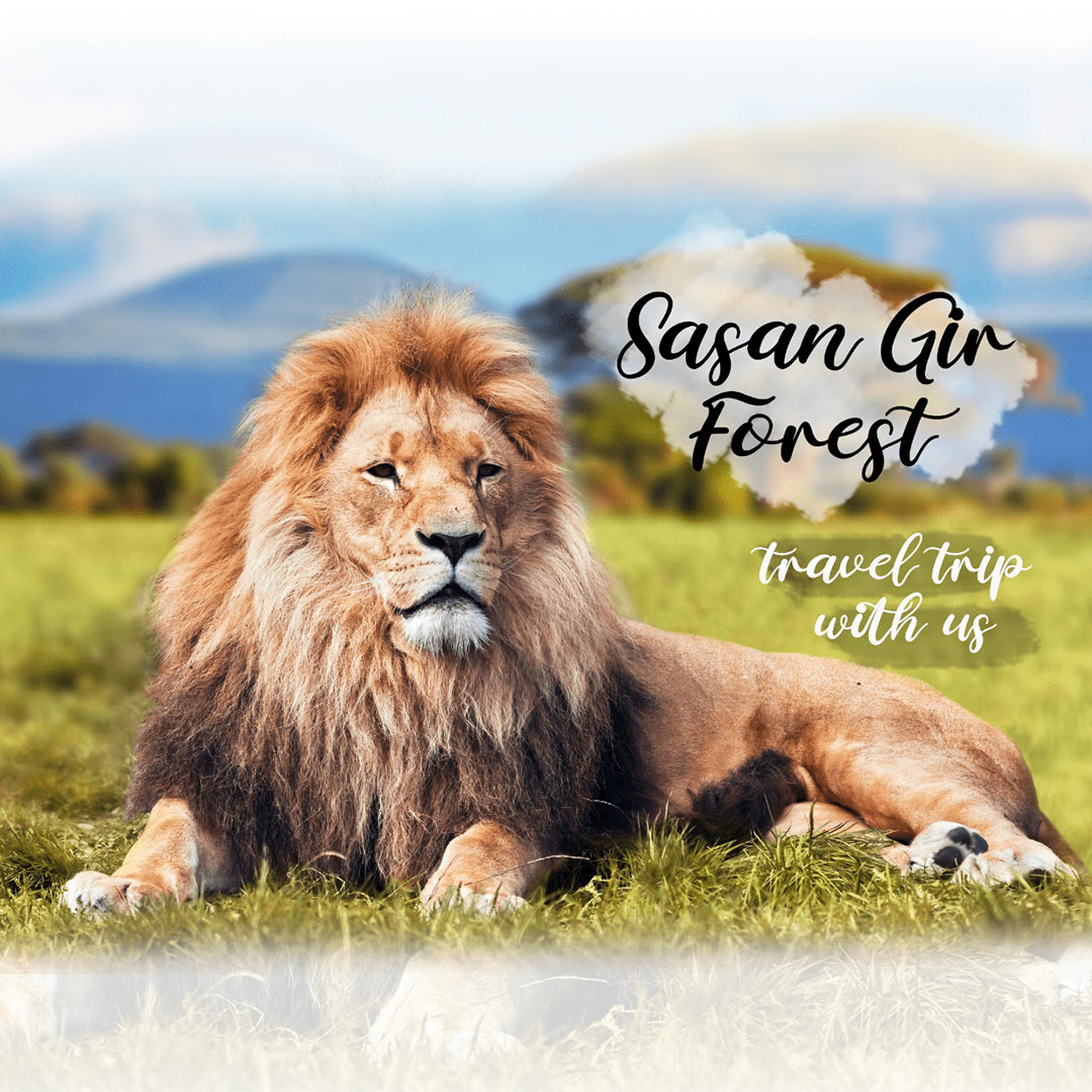 Tours and Travels
