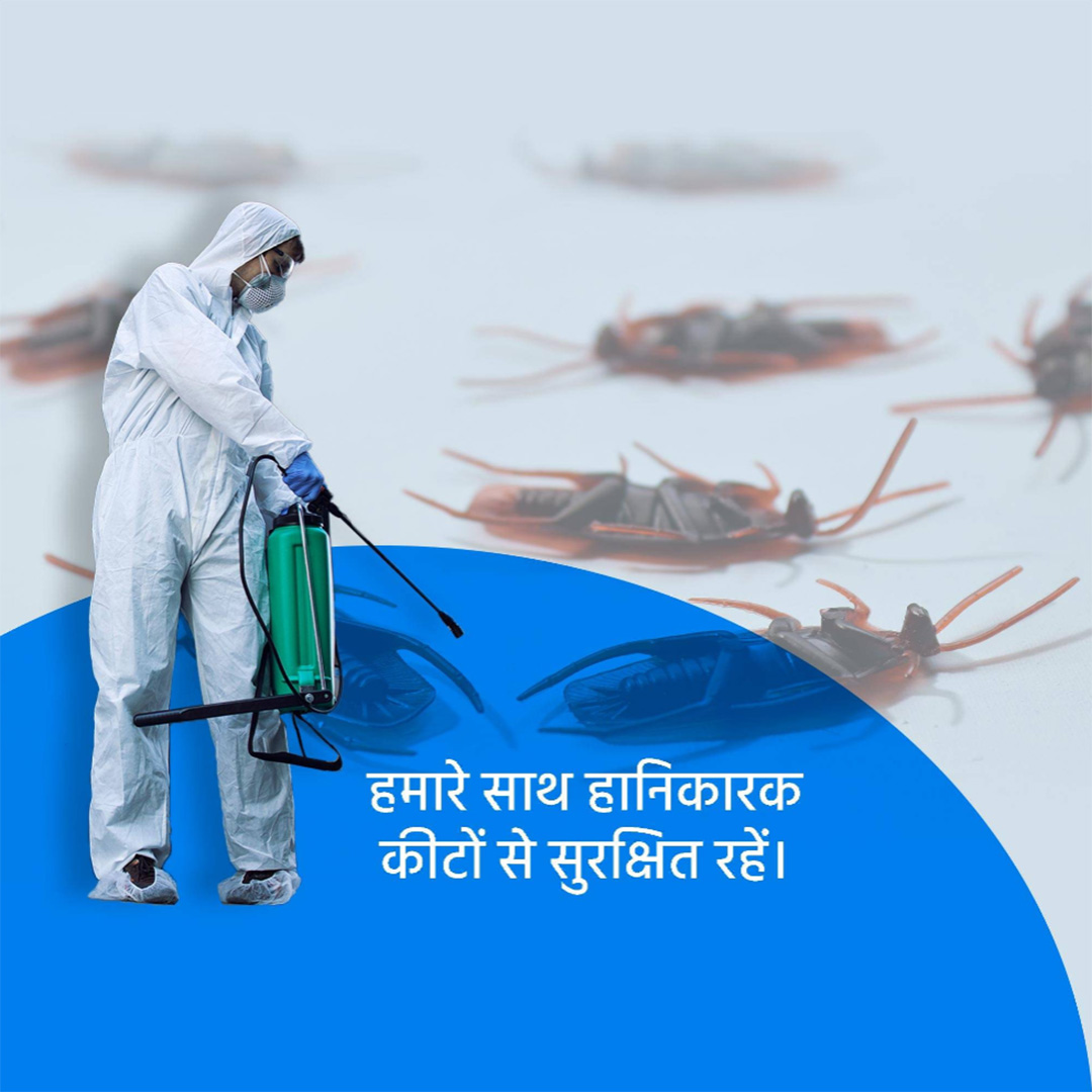 Pest Control