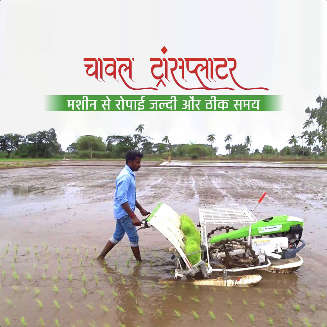Agriculture