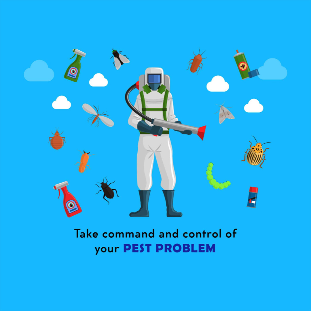 Pest Control