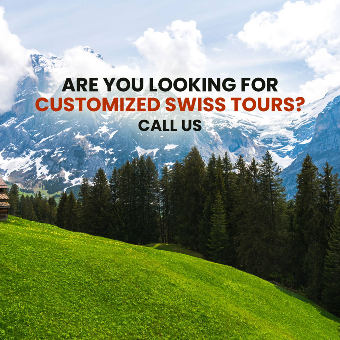 Tours and Travels