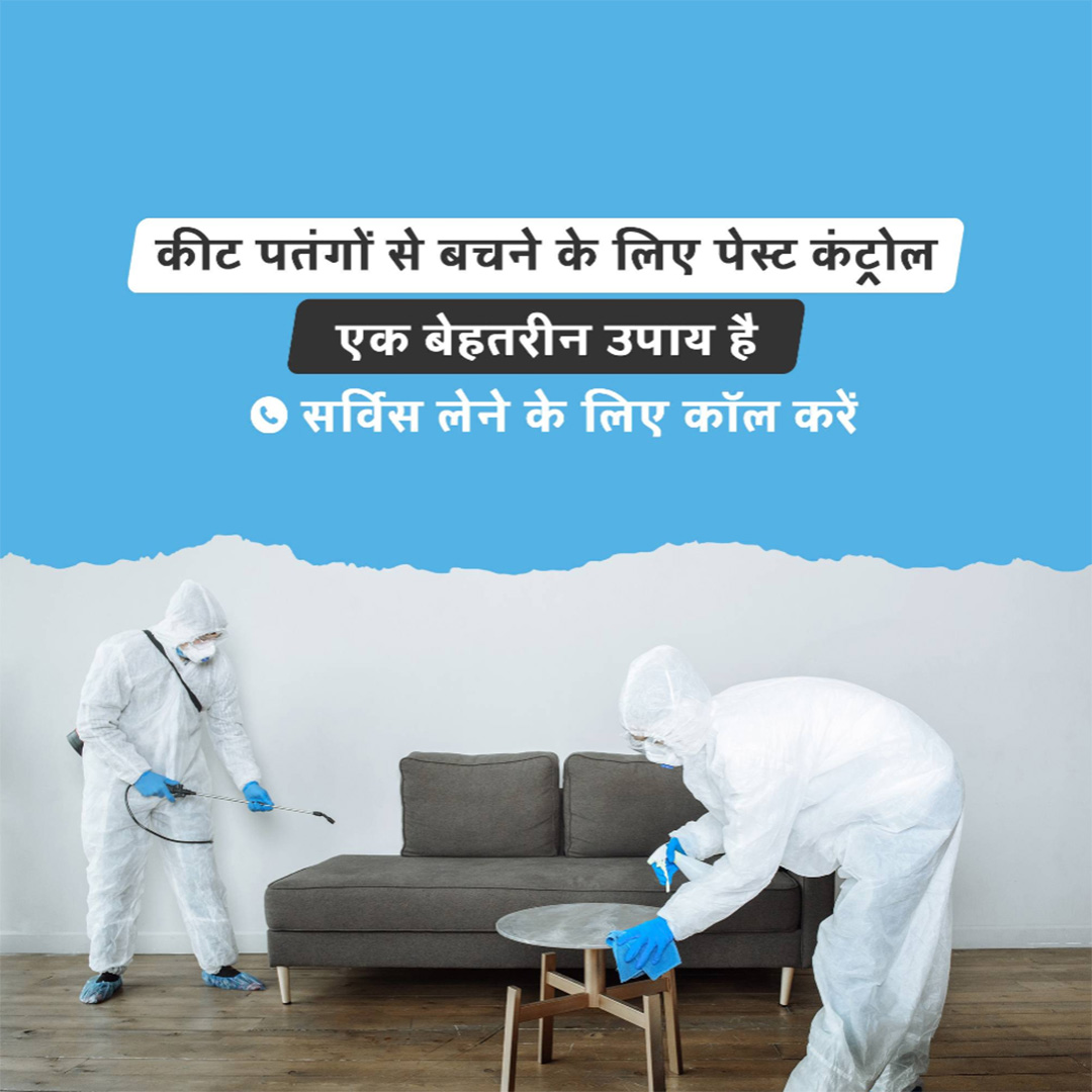 Pest Control