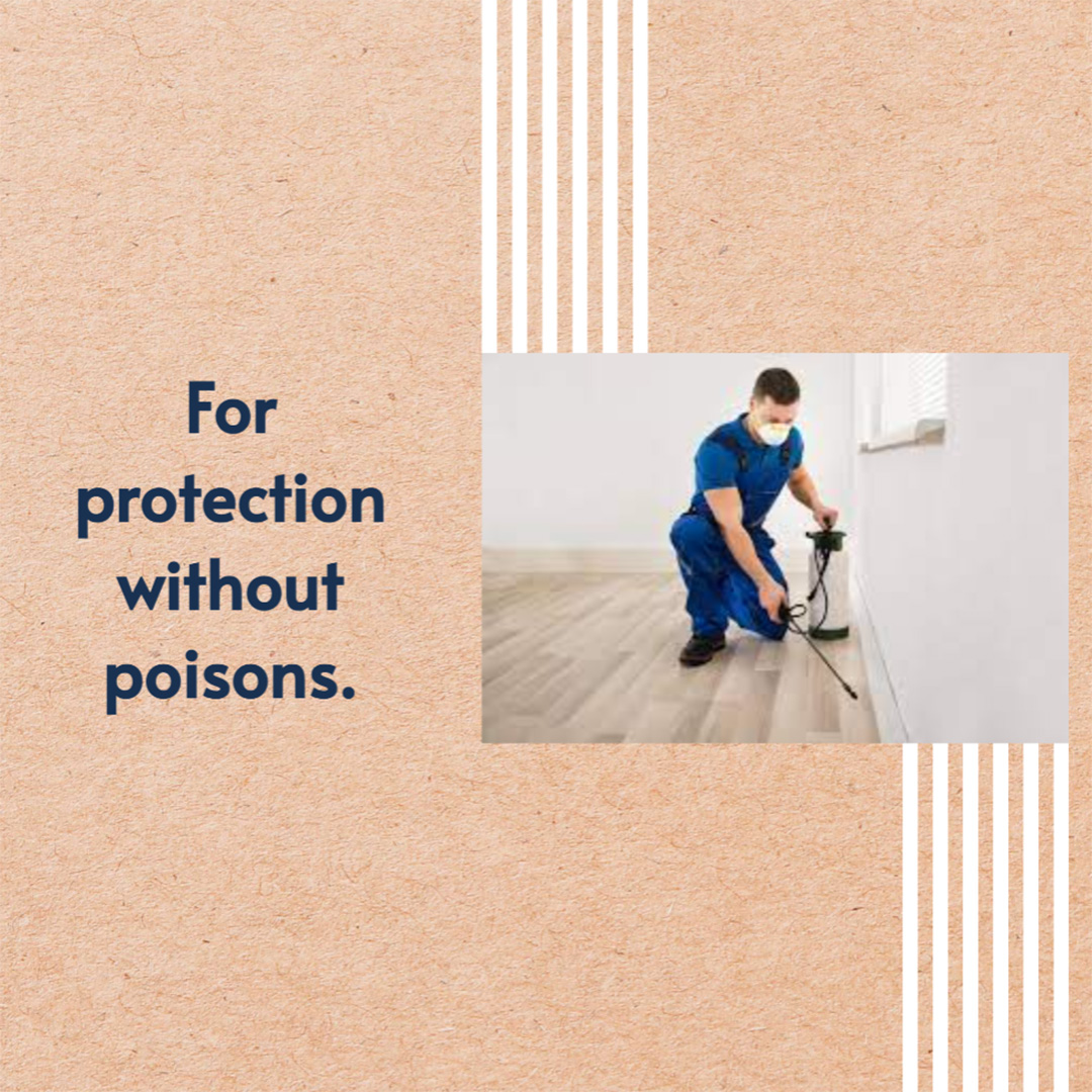 Pest Control