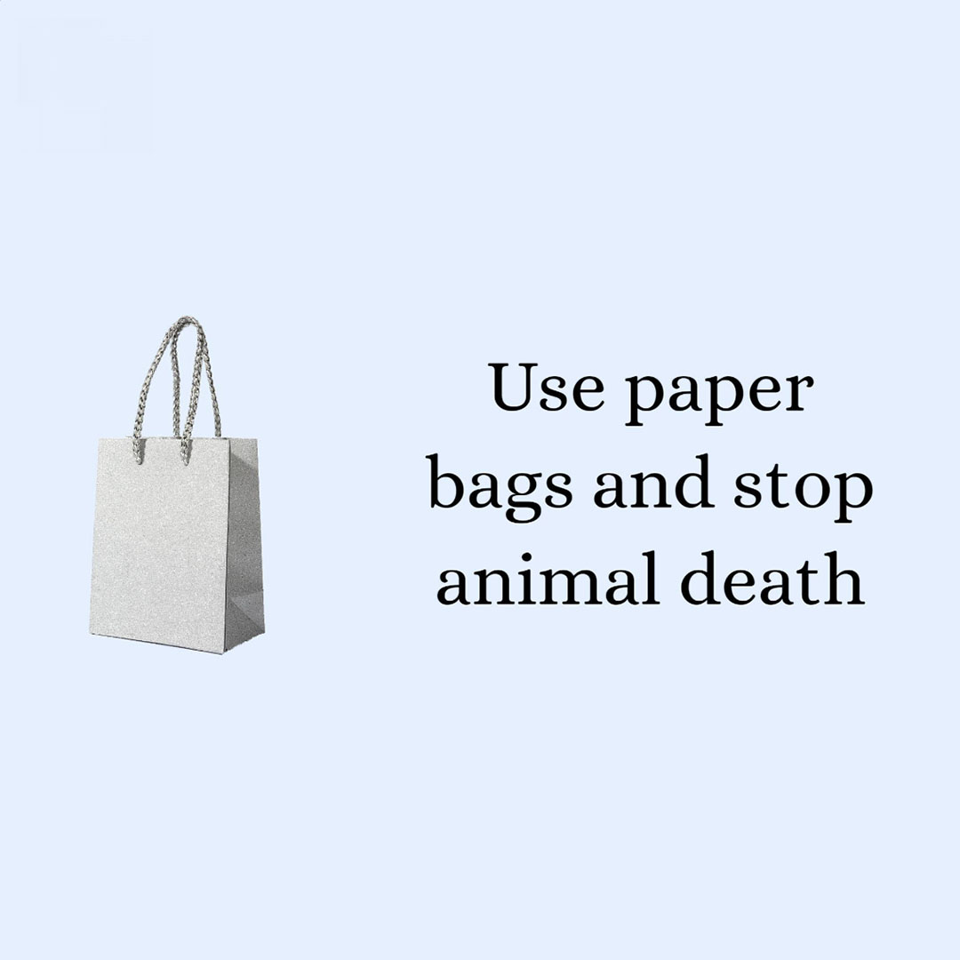 Bag Manufacturing