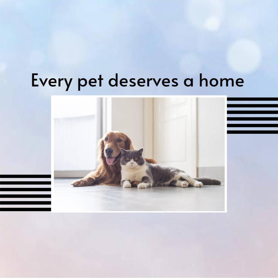 Pet Shop