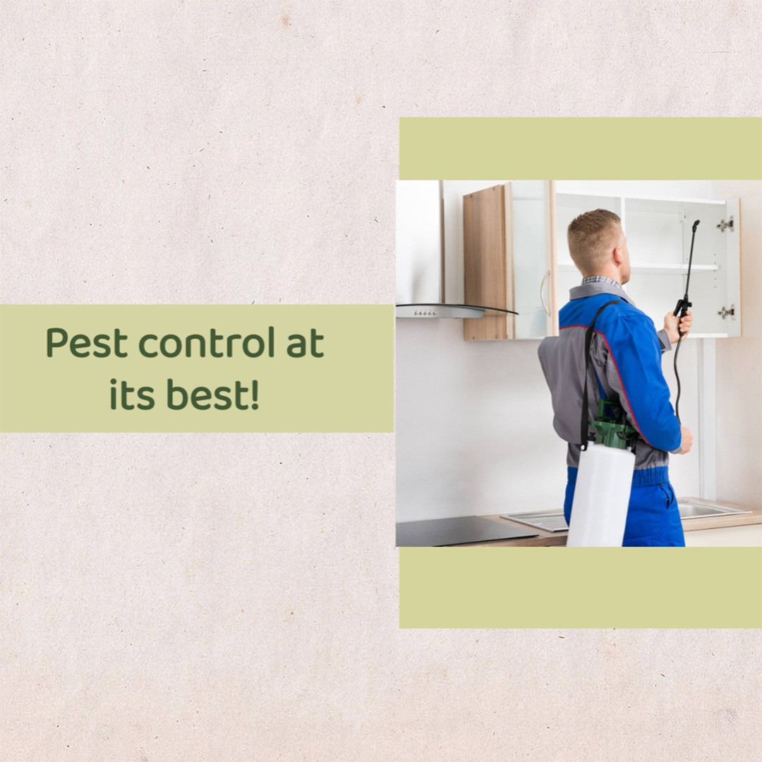 Pest Control