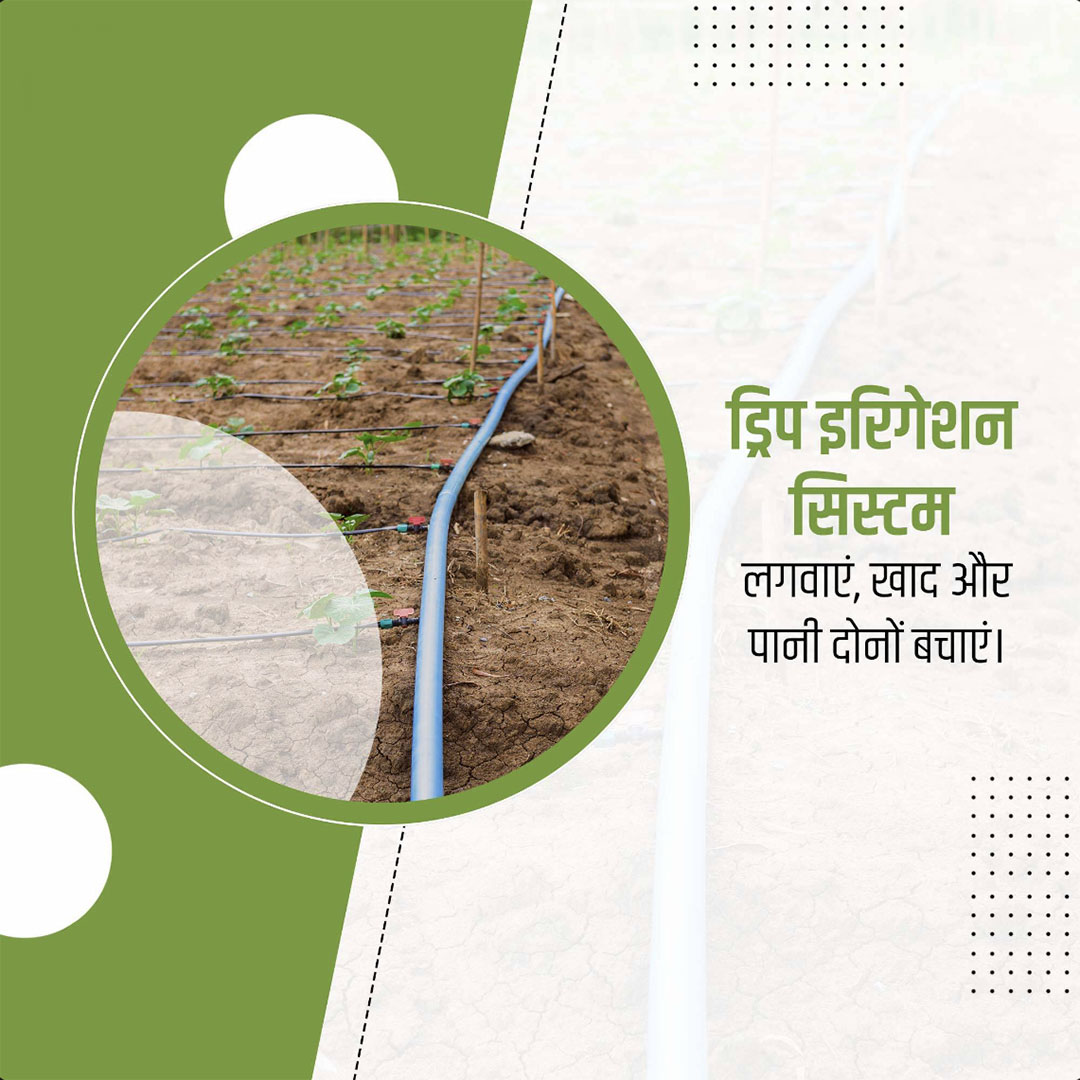 Agriculture