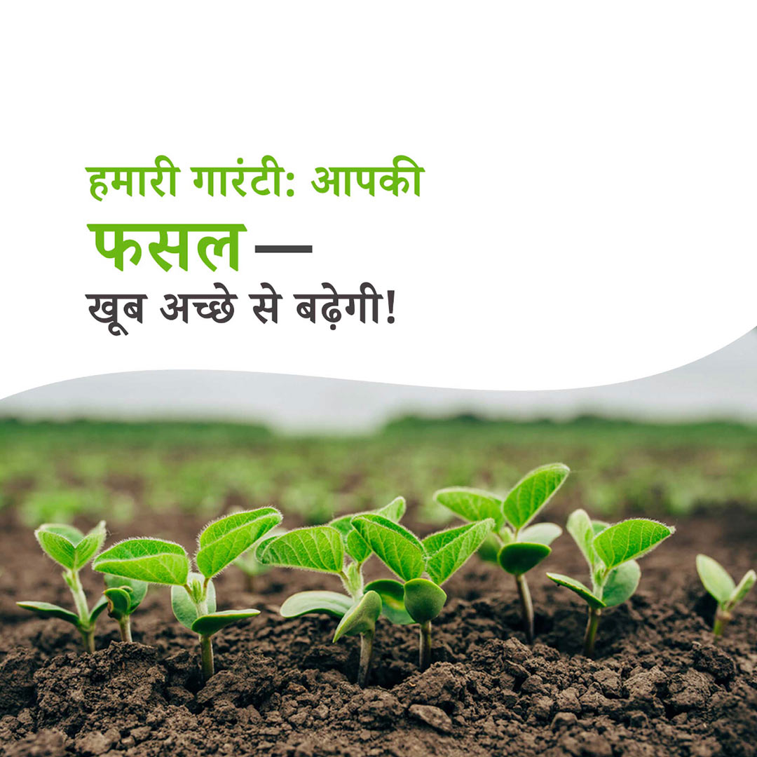 Agriculture