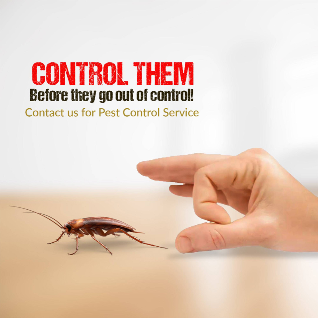 Pest Control