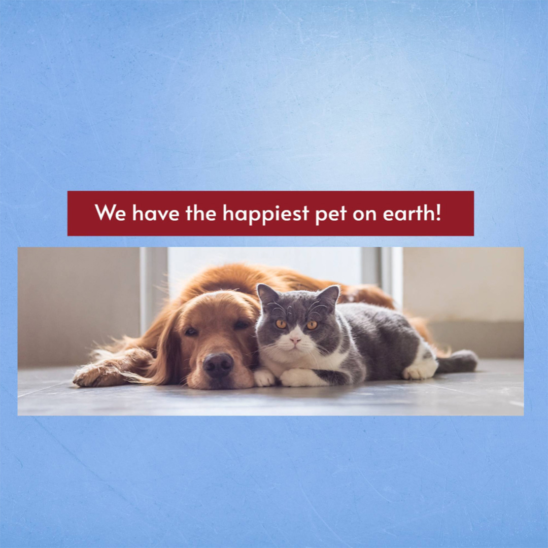 Pet Shop