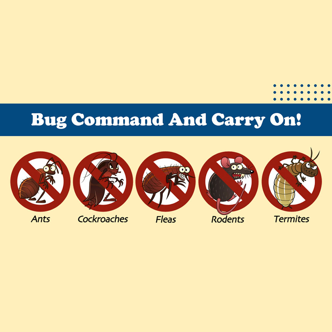 Pest Control