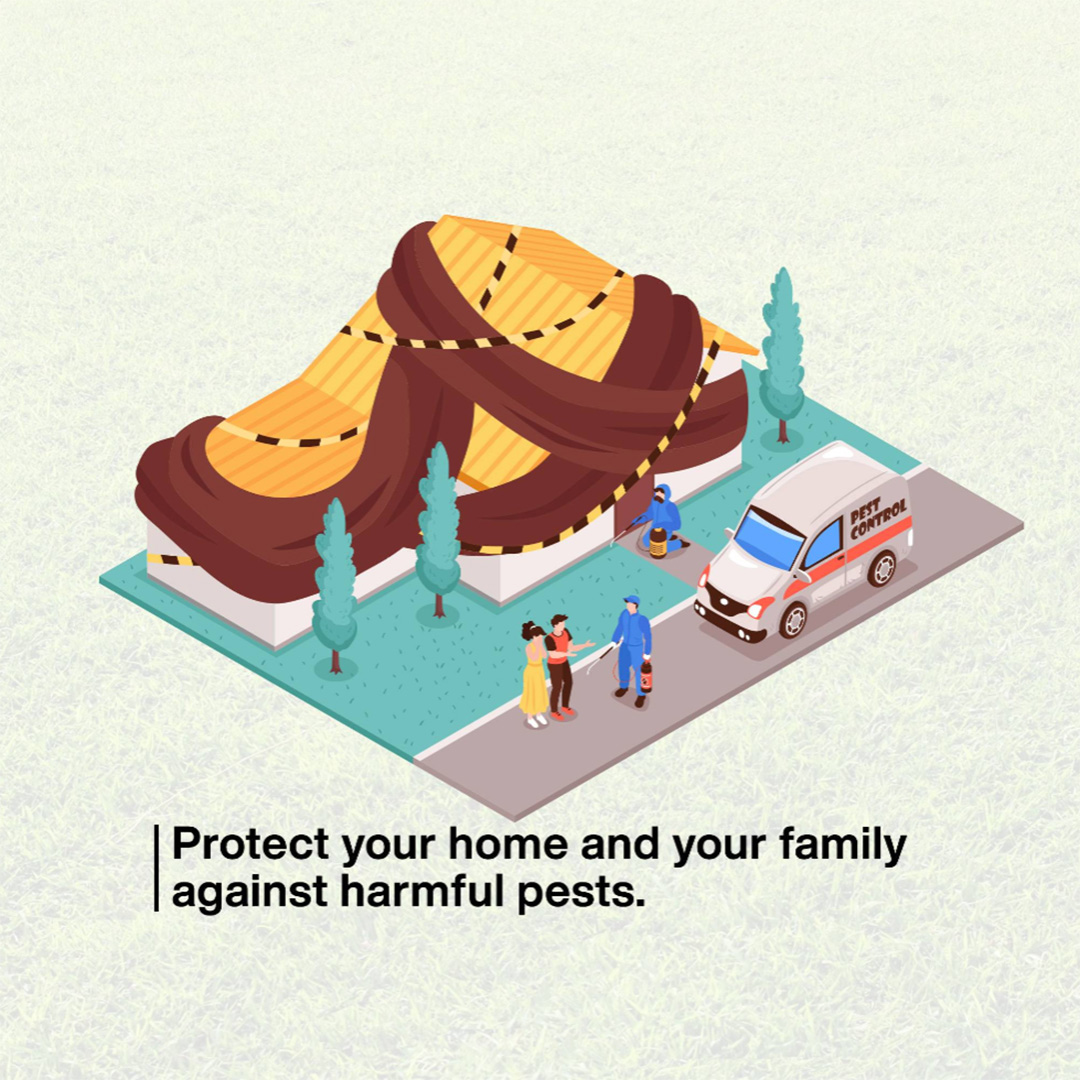Pest Control