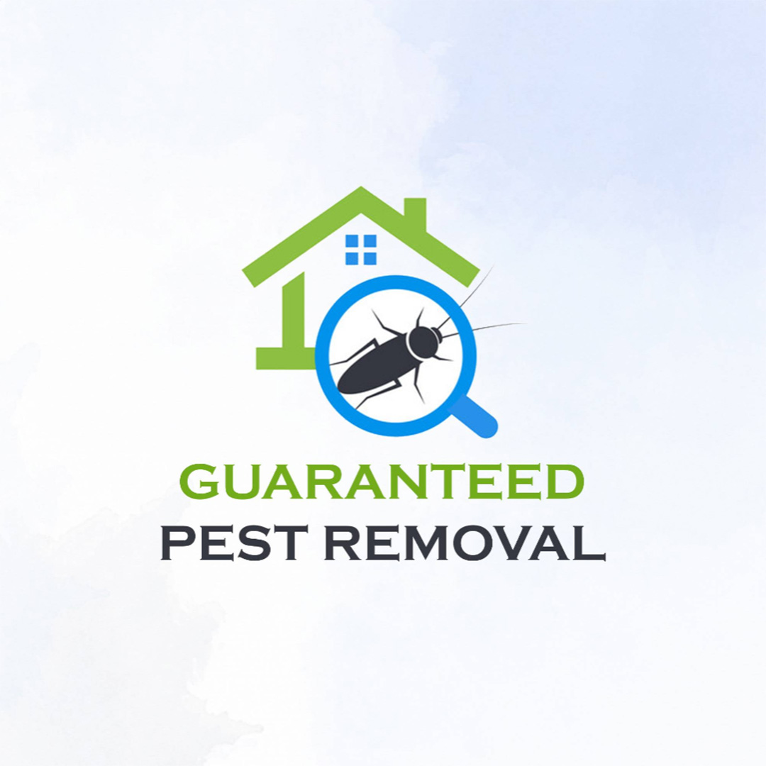 Pest Control