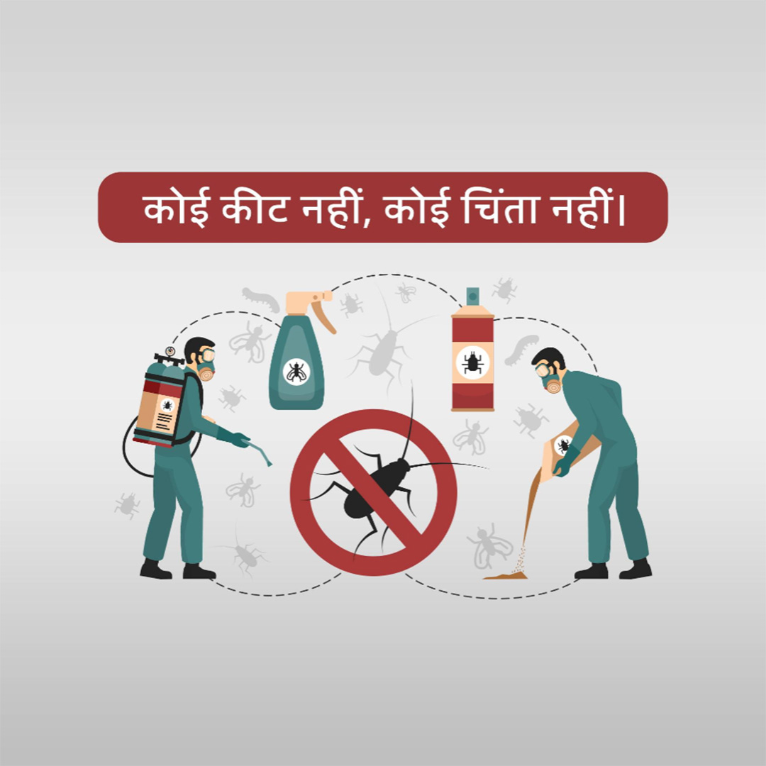 Pest Control